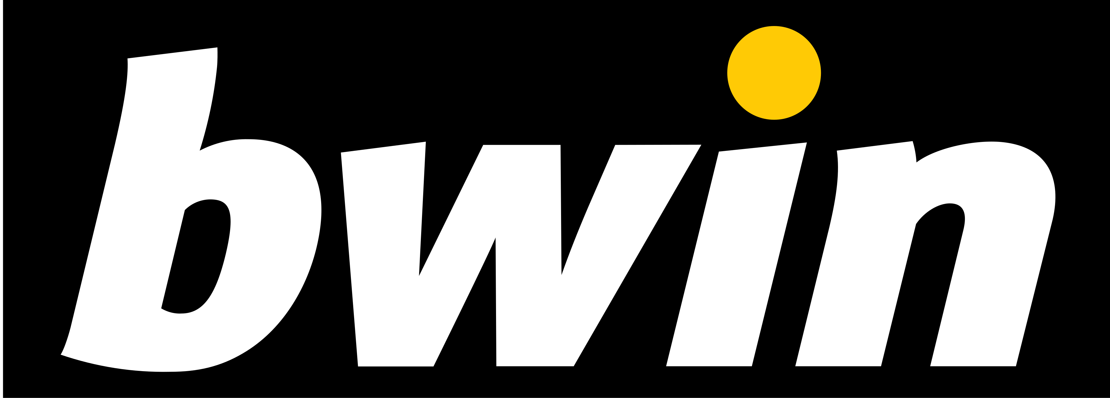 bwin Logo